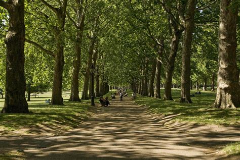 Green Park | Things to do in St James', London