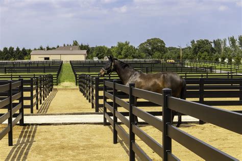 Can I install a horse fence