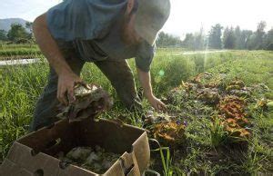 Guerrilla Gardening for Survival