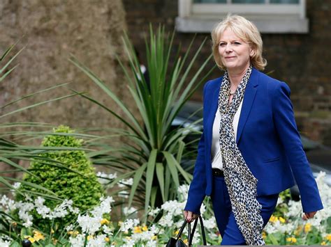 Business Insider talks to Tory MP Anna Soubry about Brexit - Business Insider