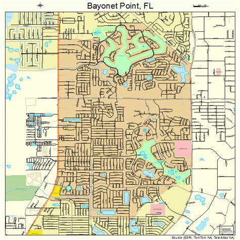 Bayonet Point Florida Street Map 1204162