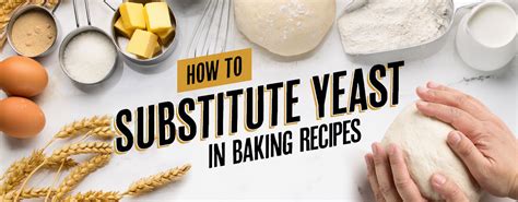 3 Yeast Substitutes & Alternatives for Use in Baking