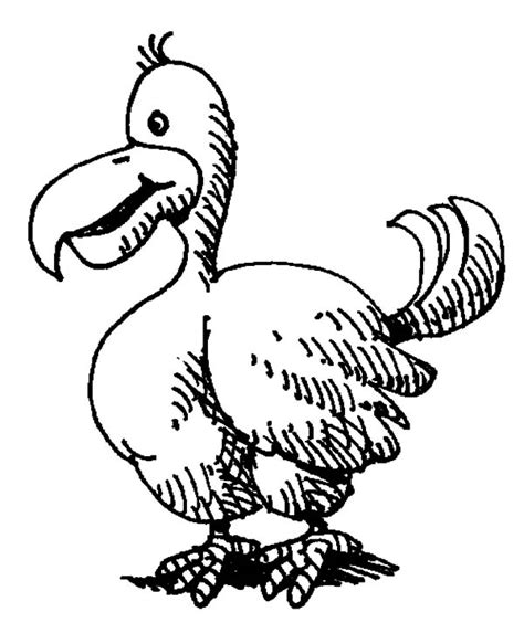 Dodo Bird Drawing at GetDrawings | Free download