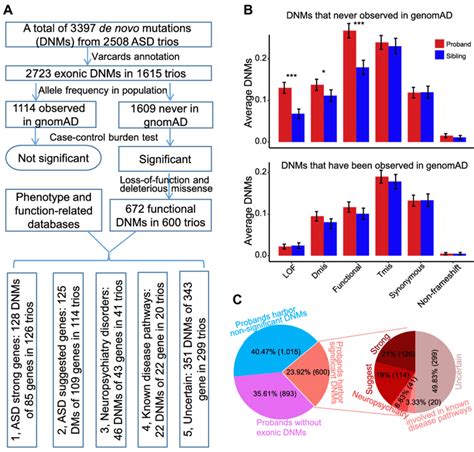 Case study of de novo mutations in ASD. (A) Workflow of data analysis.... | Download Scientific ...