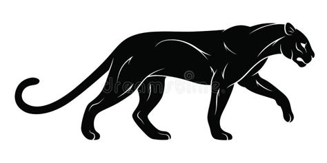 Walking panther stock vector. Illustration of vector - 112464367