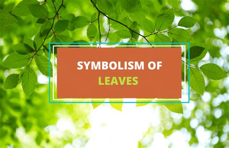 Symbolism of Leaves – And What They Mean - Symbol Sage