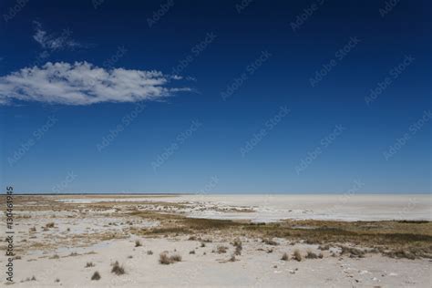 Etosha Safari Park in Namibia Stock Photo | Adobe Stock