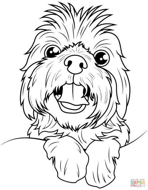 Shih Tzu coloring page | Free Printable Coloring Pages