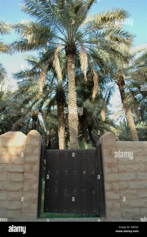 Al Ain Oasis Stock Photo - Alamy