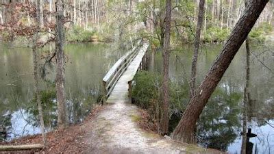 Carolina Towns and Trails: Santee State Park and National Wildlife Refuge