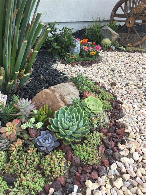 Front Yard Succulent Garden Ideas Outdoor | Types Of Succulent Plant