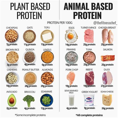 15 Elegant Vegan Protein Vs Animal Protein - Best Product Reviews