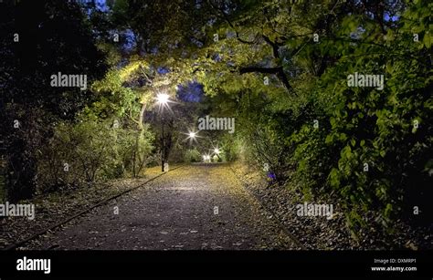 Park path in the night Stock Photo - Alamy