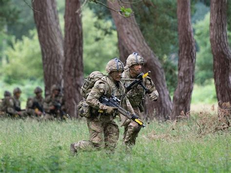 Army officer cadets take part in final training exercise before graduation | Guernsey Press