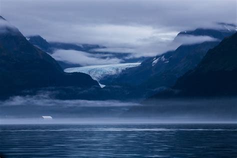 Resurrection Bay Tours - Book Now | Expedia