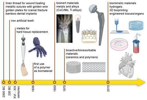 Processes | Free Full-Text | Biomaterials and Their Biomedical Applications: From Replacement to ...