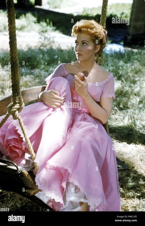 Kim novak picnic hi-res stock photography and images - Alamy