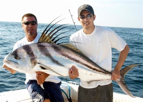 How to Catch Skipjack Tuna