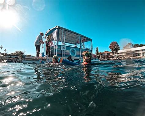 Manatee Tours - Crystal River Manatee Adventures