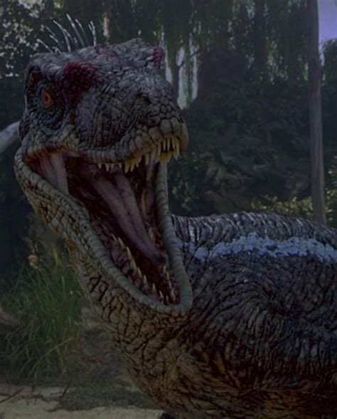 Image - Raptor (Jurassic Park III).JPG - Villains Wiki - villains, bad ...