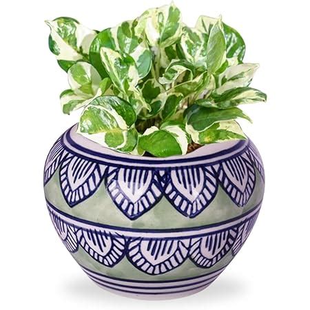 ecofynd 3 inches Ceramic Plant Pots, Clay Flower Pot with Drainage Hole, Decorative Modern ...