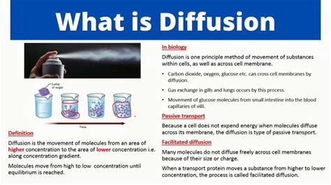 What is Diffusion | Simple Diffusion | Facilitated Diffusion | Biology ...