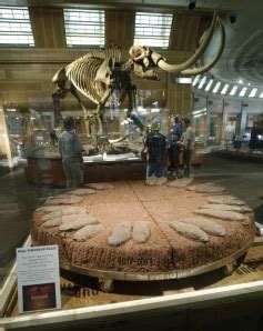 Dinosaur exhibit makes world premiere in Ohio - Technology & science - Science | NBC News