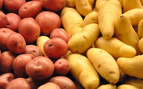 Celebrating the splendid spud during National Potato Month – A Healthier Michigan