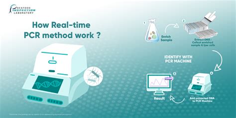 PCR test for food testing - Real time pathogen detection for food product