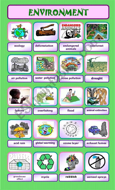 ENVIRONMENT (20 words) worksheet | Vocabulary worksheets, Words, Grammar and vocabulary