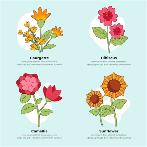 Carta de flores botánicas dibujadas a mano | Vector Gratis