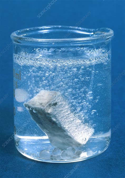 Calcium Reacting with Water - Stock Image - C027/9558 - Science Photo Library