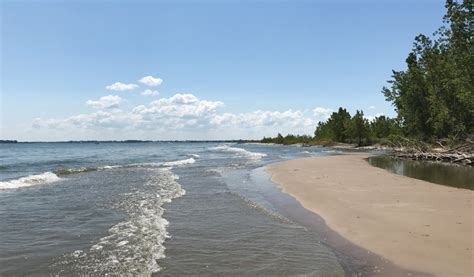 Marblehead Peninsula Known as "Sandbar" Now Protected - Lakeland Boating