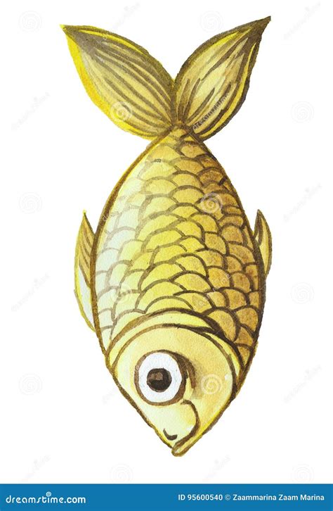 Drawing Of Fish Cartoon Vector | CartoonDealer.com #25469463