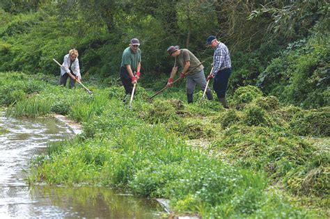 Volunteering guide: how to get involved with wildlife, conservation and ...