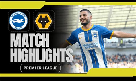 Brighton vs Wolves Highlights