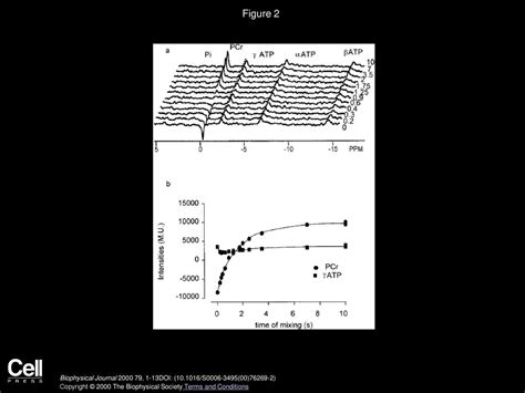 Volume 79, Issue 1, Pages 1-13 (July 2000) - ppt download