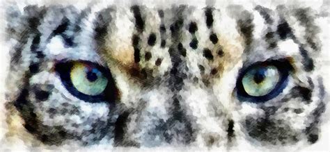 Snow Leopard Eyes Photograph by Angelina Vick