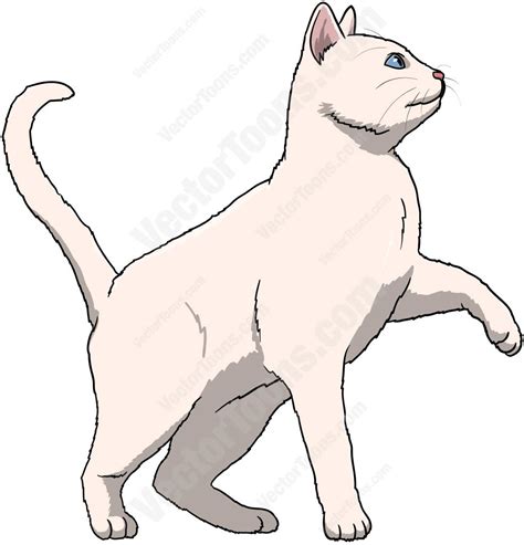 White Cat With Blue Eyes Standing With One Paw Off The Ground | Cat ...