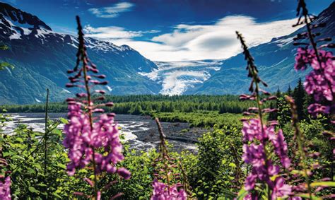 Kenai Fjords National Park - Alaska Magazine