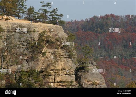 Red River Gorge Kentucky fall colors hiker Stock Photo - Alamy