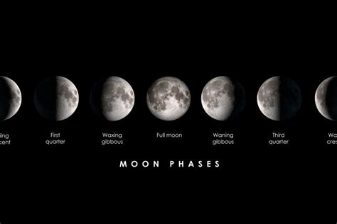 Exploring the Lunar Phases: From New Moon to Waning Crescent - Moon ...