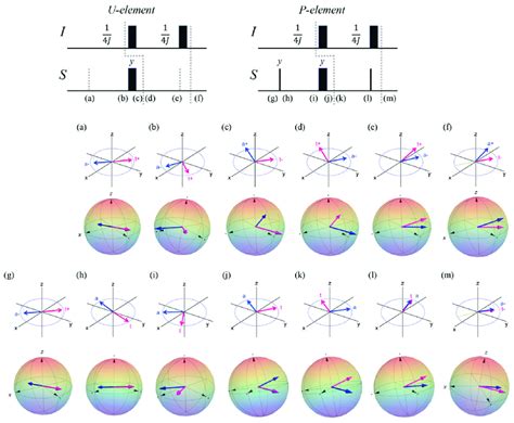 Behaviors of magnetization vectors in the U-element (a-f) and P-element... | Download Scientific ...