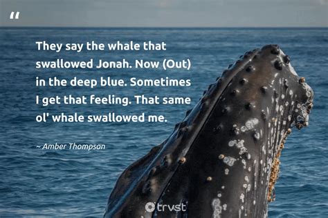 35 Whale Quotes To Help You Be Calm And Hopeful