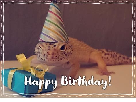 Goofy Leopard Gecko Reptile Funny Cute Happy Birthday Card | Etsy