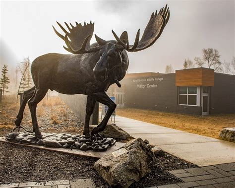 Kenai National Wildlife Refuge Visitor Center |… | ALASKA.ORG