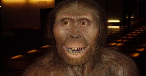 Lucy la Australopithecus: el fósil que lo cambió todo