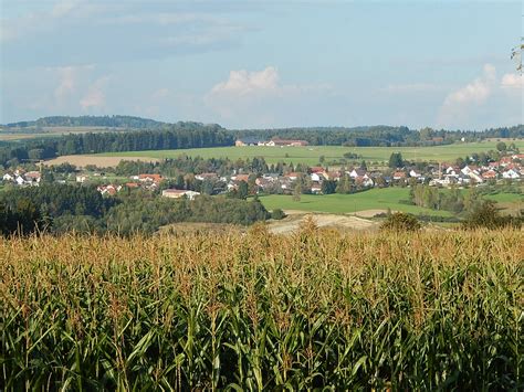 Elevation of Hohenfels, Germany - Topographic Map - Altitude Map