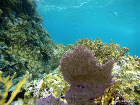 Snorkeling the Indians in the British Virgin Islands - svIslandSpirit.com