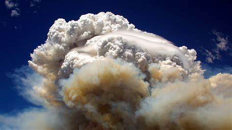 Intense wildfires can push ozone-damaging smoke high into the air | Science News